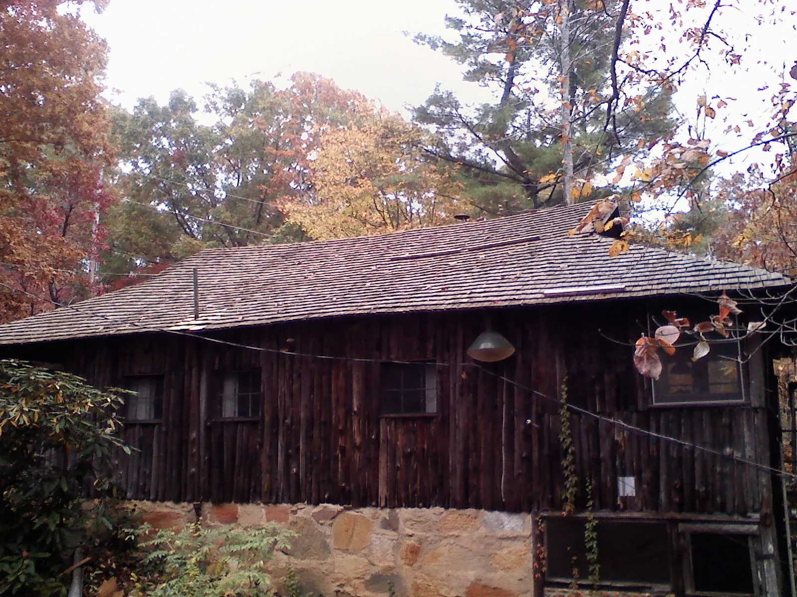 Weathered wood shake roof on a rustic board sided cabin in Oakesdale
